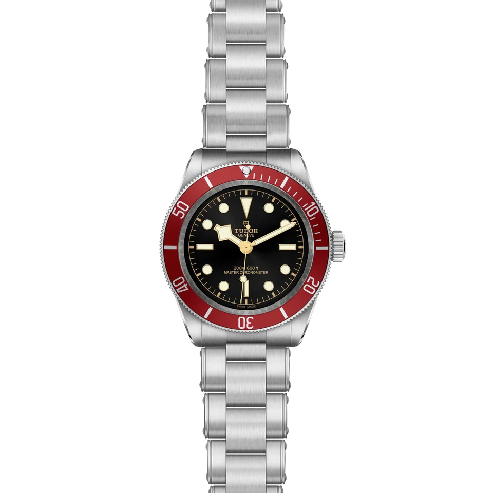 Tudor Black Bay